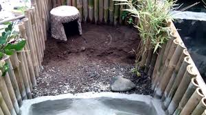 Make A Turtle Pond Pembuatan Kolam Kura Kura Youtube