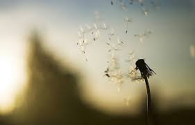 565 reads 59 votes 26 part story. Nieobecni Sa Najblizej