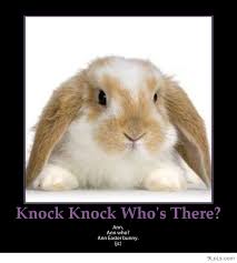 We did not find results for: Daily Quotes Funny Cartoons And Funny Easter 2013 Image 686668 On Favim Com