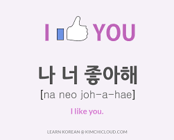 Need to translate i would like to korean? ë‚˜ ë„ˆ ì¢‹ì•„í•´ How To Say I Like You In Korean Kimchi Cloud