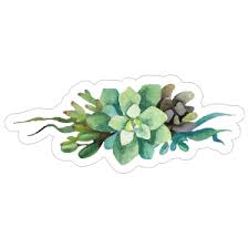 Succulent plants store water and other nourishing elements in their. Customizable Succulent Cactus Car Stickers And Decals