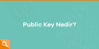 Discord's built in webhooks function as an easy way to get automated messages and data updates sent to a text channel in your server. Public Key Nedir Paribulog