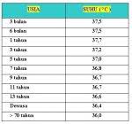 Maybe you would like to learn more about one of these? Suhu Tubuh Normal Manusia Halosehat