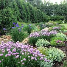 Marvelous 25 Best And Beautiful Iris Garden Ideas For Your Yard Inspiration Https Decoredo Com 17742 25best Beautiful Gardens Plants Beautiful Flowers Garden