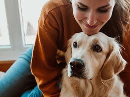 The 10 Best Companion Dogs