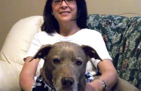 Dog walker, cat sitter, cat sitting, pet sitter, dog sitting, dog sitter, pet grooming, dog groomer, grooming service, professional sitter. Walk With Me Pet Sitting 2373 Sw Antiquera St Port Saint Lucie Fl 34953 Yp Com