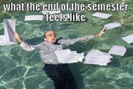 How To Survive The End Of The Spring Semester Funny Photo Captions Funny Pictures Memes