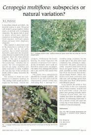 Image result for Ceropegia multiflora