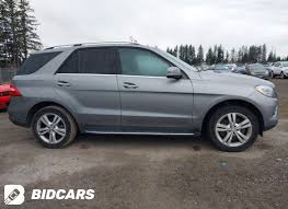 Image result for Selenite Gray 2015 ML