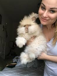 THIS BUNNY IS NOW AT THE ANIMAL WELFARE LEAGUE IN PORT CHARLOTTE ‼ FOUND  MALE BUNNY