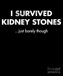 Gall stones and kidney stones. I Survived Kidney Stones Just Barely Though Drawing By Noirty Designs