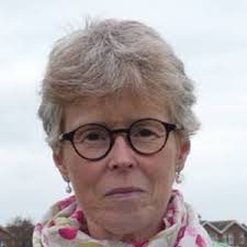 Chichester local election: The 8 candidates in Chichester South