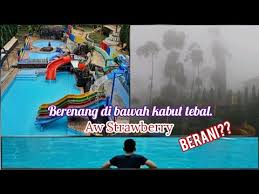 Curug ciparay, pesona air terjun di bawah kaki. Tempat Wisata Alam Kabupaten Bandung Ada Apa Di Ciparay Youtube