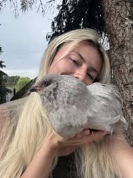 What is wrong with my Brahma hen?