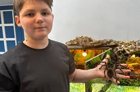 Vogelspinne, Schlange, Leguan: Reptilienausstellung in Kulmbach