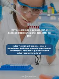 Sea Technology, Inc. (@seatechpanama) · Panama City