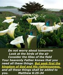 Birds Of The Air And Lilies Of The Field Good Morning From Trinity Texas Today Is Thursday October 2 2014 Day 275 On The 2014 Journey Make Scripture For Today The Kingdom Of God Lilies Of The Field