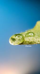 Maybe you would like to learn more about one of these? Page 5 Hd Of Crocodile Wallpapers Peakpx