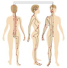File Shiatsu Chart Major Tsubos Pressure Sensitive Points