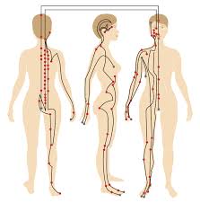 File Shiatsu Chart Major Tsubos Pressure Sensitive Points