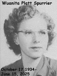 In memory of my niece and platt tech graduate Lauren Michelle