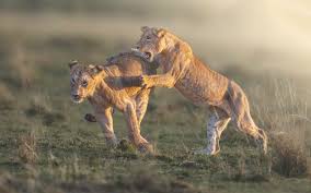 Kenya Adventure Safari Expedition — photo 3