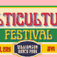 Multicultural Festival