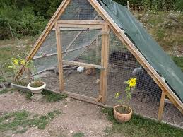 Pyramidengehege Fur Kaninchen Bauanleitung Zum Selberbauen 1 2 Do Com Deine Heimwerker Community Kaninchengehege Kaninchen Kaninchengehege Selber Bauen