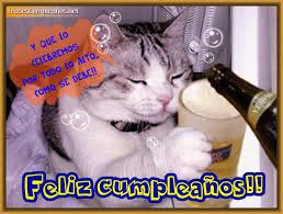 Maybe you would like to learn more about one of these? Pin On Gatos Graciosos