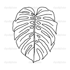 Vector summer seamless pattern with palm leaves design for. Tropical Leaf Coloring Page