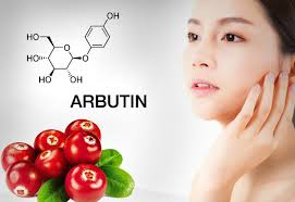 Alpha Arbutin là gì? Sử dụng Alpha Arbutin làm trắng da như nào hiệu quả nhất?