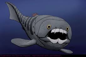 Image result for Cystostemon