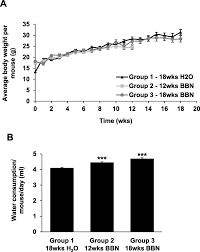 It is most often found in men aged it is most often found in men aged over60, but women and men younger than60 can also get bladder cancer. Bbn Induced Bladder Cancer Mouse Model A Female B6d2f1 Mice Were Download Scientific Diagram