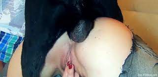 Sexy chick in denim pants wants anal with a dog