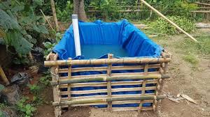 Kolam Terpal Orchid Biru Rangka Bambu Persiapan Budidaya Lele Nila Youtube