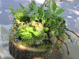 Maybe you would like to learn more about one of these? Nothing Found For Weddingevent Workshop On August 5 6 7 Woodland Flowers Plants Planting Flowers