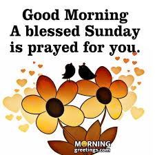 March 31, 2021 by akhil. 30 Super Sunday Morning Blessings Morning Greetings Morning Quotes And Wishes Images