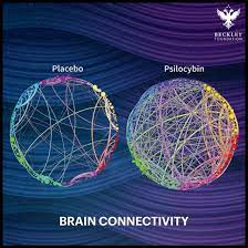 Can Acid Dissolve The Social Isolation Of Autism And Asperger S Syndrome Plastic Brain