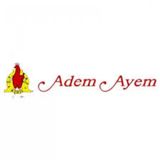 Meat was tender and fall of the bone easily, savory with addictive crunchy savory rm adem ayem's version of opor ayam was enjoyable but not memorable, as the coconut milk was too dominant. Rm Adem Ayem