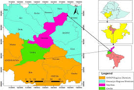Image result for Vernonia thomsoniana