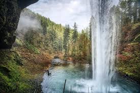 Maybe you would like to learn more about one of these? Silver Falls State Park Oregon State Parks