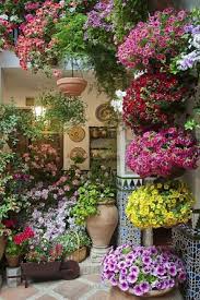 10 Erfrischende Ideen Wie Man Die Terrasse Gestalten Und Erneuern Kann Pflanzen Terrasse Gestalten Topfblumen