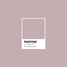 Pantone Color Of The Day February 1 2017 Pantone Palette Pantone Colour Palettes Pantone