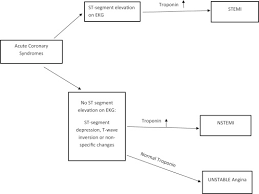 Esc guidelines for the management of acute coronary syndromes in patients presenting without persistent st segment elevation. Non St Elevation Acute Coronary Syndromes A Comprehensive Review Sciencedirect