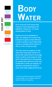 You've probably heard that the human body is made up of over 70 percent water, and that drinking enough every day is essential for everything from maintaining a healthy weight to energy levels and flushing toxins out of the body. Body Water Infograph On Behance