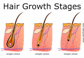 It can depend on the location and the wax used, but ophals says the average cost of a brazilian wax typically ranges from if your hair is any longer than a quarter of an inch, trim it before your appointment. Why Touch Up Shaving Is Completely Sabotaging Your Brazilian Wax