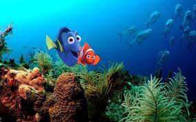 A collection of the top 60 finding nemo wallpapers and backgrounds available for download for free. Collection Top 33 Finding Nemo Wallpaper Desktop Hd Download