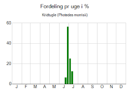 Image result for Photedes morrisii