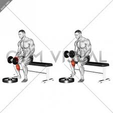 With your toes pointing forwards, raise your heels off the floor and contract your calves. Dumbbell Seated One Leg Calf Raise Palm Up