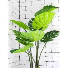 China largest artificial plant manufacturer offers custom pe pp plastic artificial plants, artificial trees, pine bonsai, silk flowers, artificial grass. Monstera Artificial Plant 120cm Shopee Malaysia